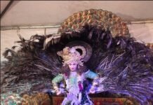 इंजीनियर्स एनक्लेव के मंदिर में श्रीकृष्ण जन्माष्टमी का पर्व हर्षोल्लास एवं श्रद्धाभाव के साथ मनाया गया….